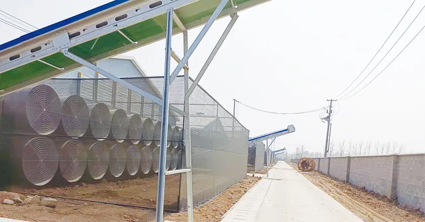 Manure Cleaning System