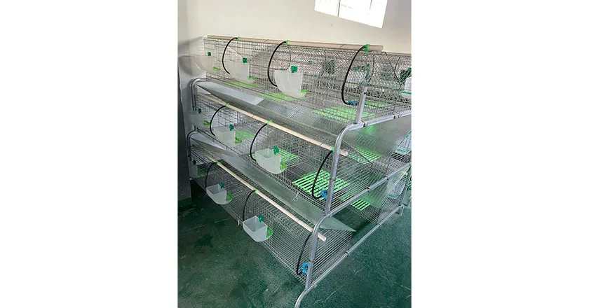 18-Unit Rabbit Cage, Galvanized Automatic Rabbit Hutch, Multi-Layer Rabbit Farming Equipment