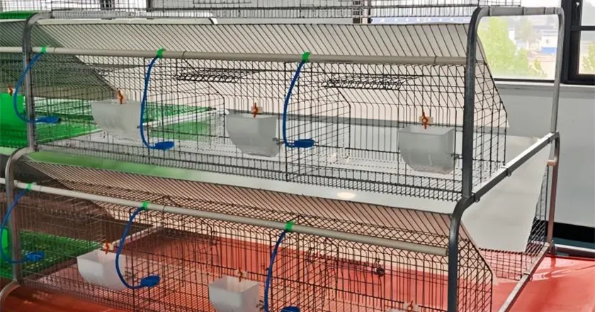 18-Unit Rabbit Cage, Galvanized Automatic Rabbit Hutch, Multi-Layer Rabbit Farming Equipment