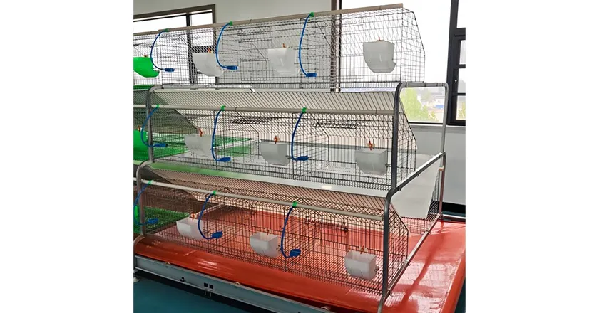 18-Unit Rabbit Cage, Galvanized Automatic Rabbit Hutch, Multi-Layer Rabbit Farming Equipment
