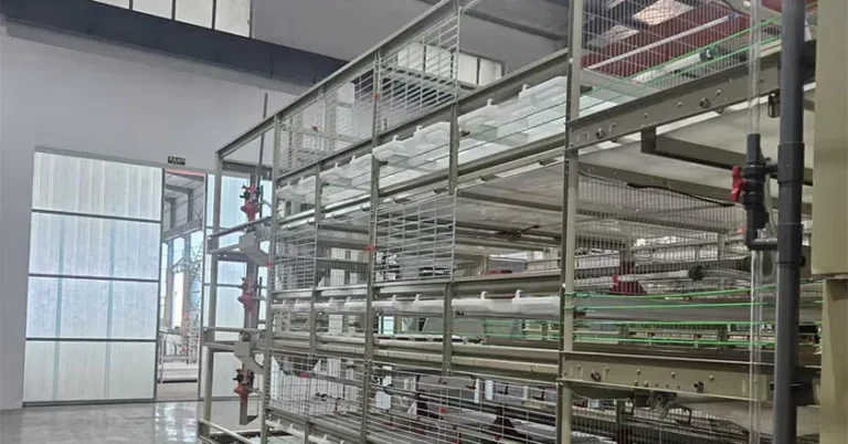 H-Type Semi-Automatic Broiler Cage with Pull-Out Harvesting System