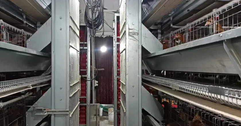 Backpack feeding system (1)