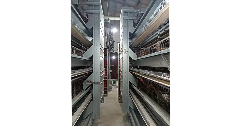 Backpack feeding system (1)