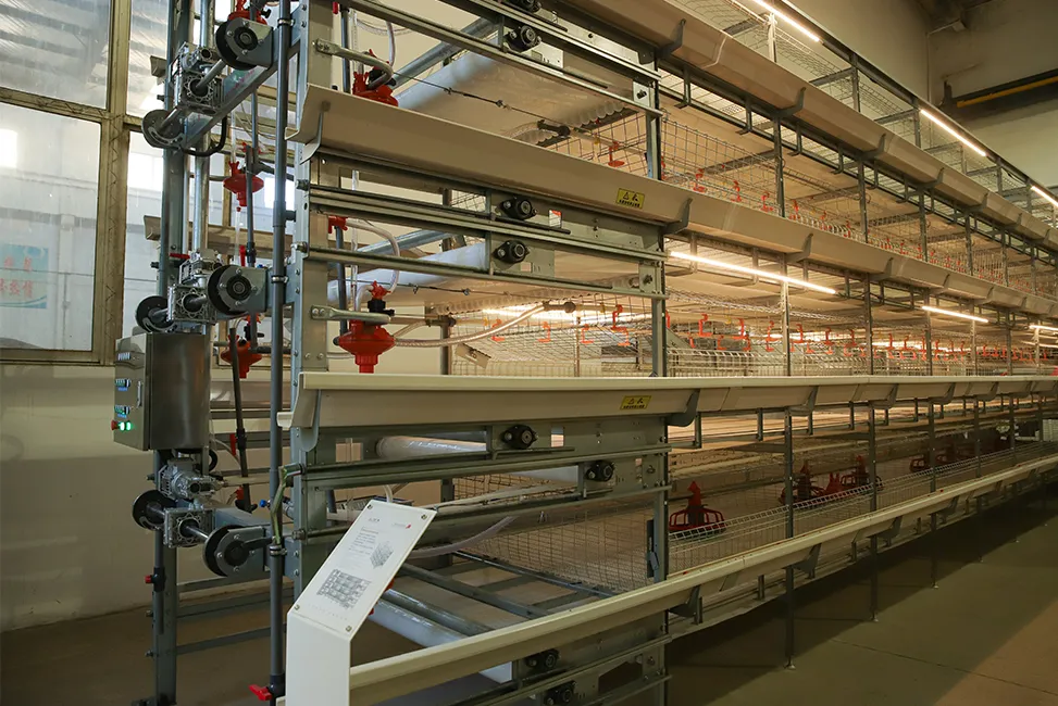 Broiler Cage Equipment for Modern Poultry Farms