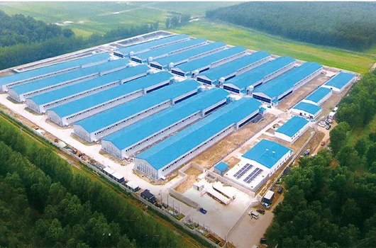 Layer Farm Concept Design