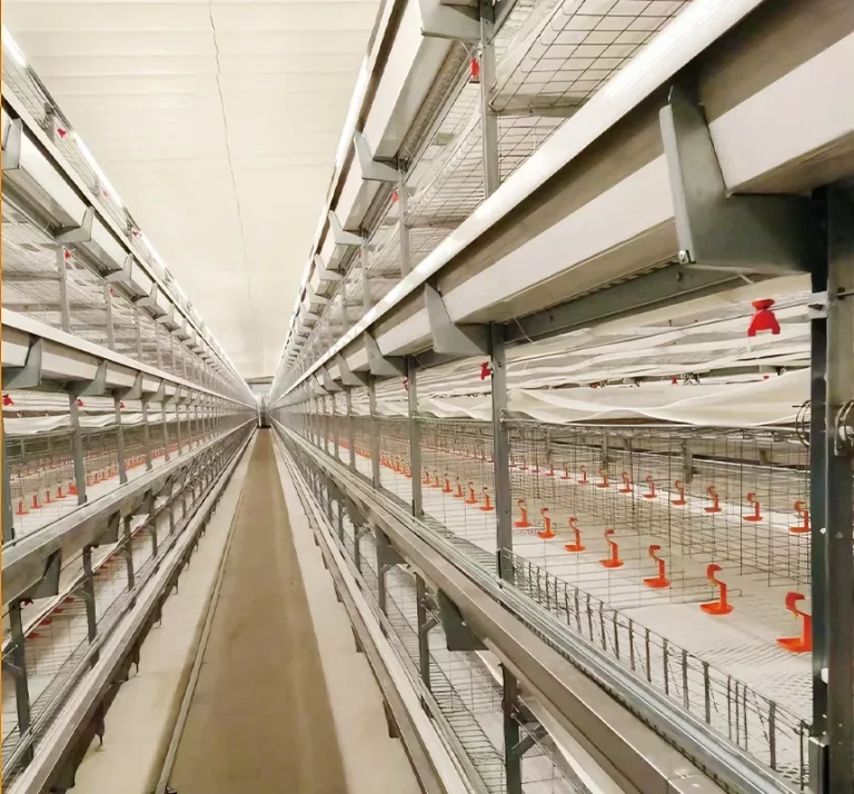 Broiler Meat Production Solutions