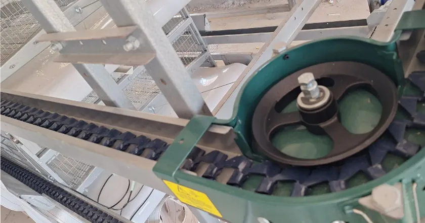 Chain-Type Automatic Feeding System