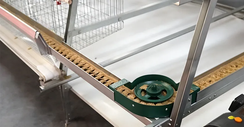 Chain-Type Automatic Feeding System