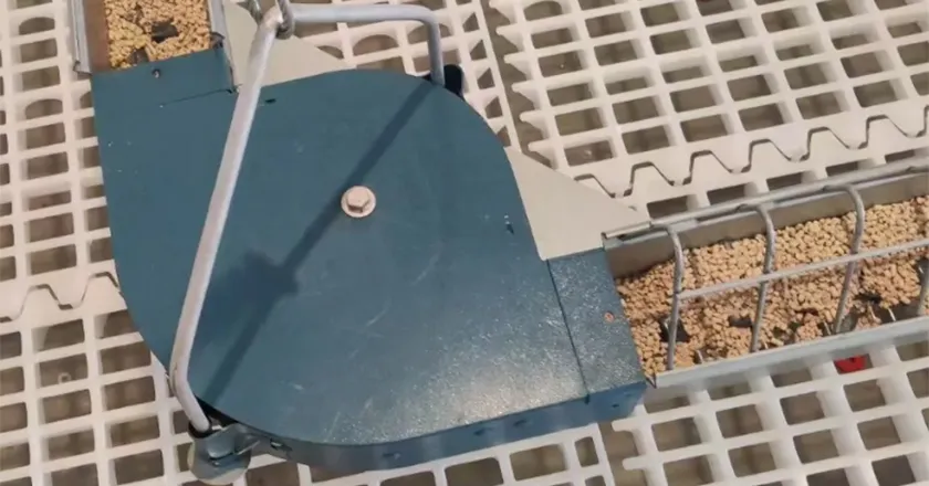 Chain-Type Automatic Feeding System