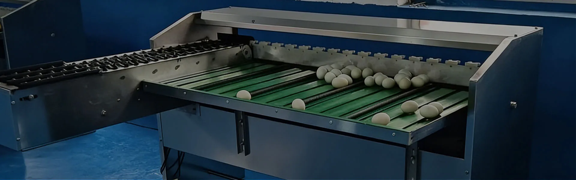 Egg Grading Machine