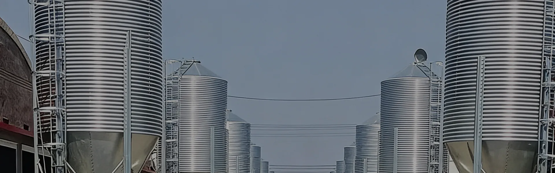 Feed Silo System