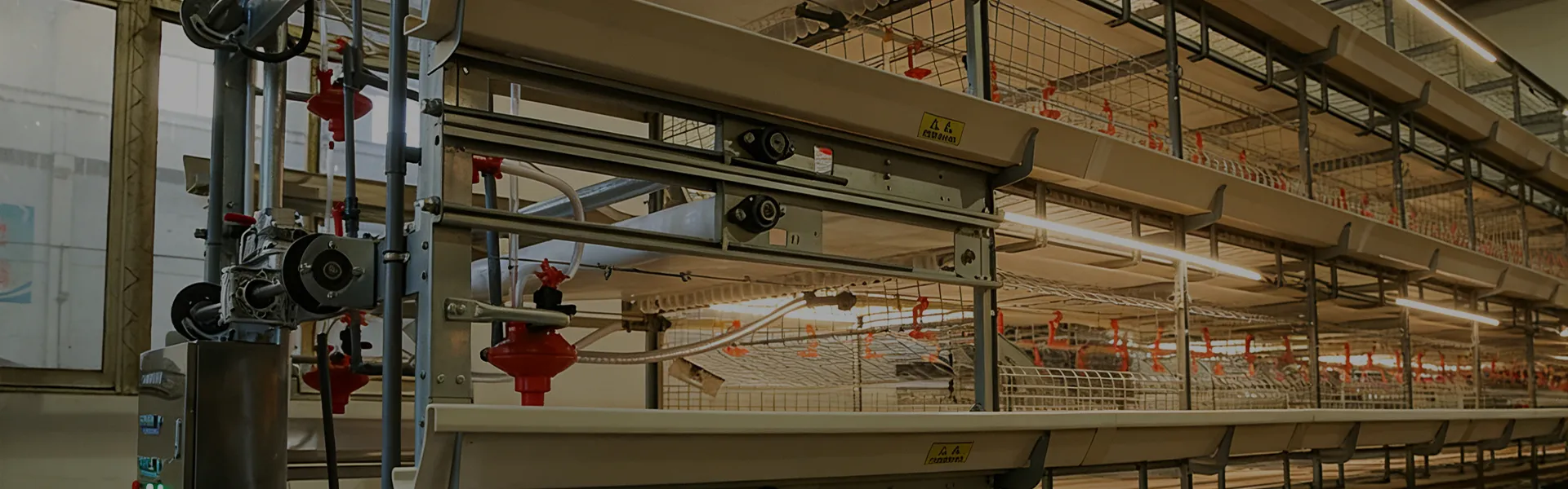 H-Type Automatic Broiler Cage with Harvesting System