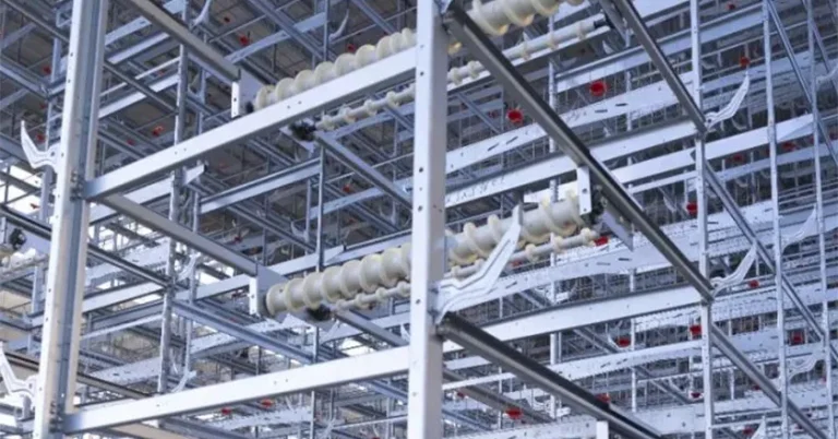 H-Type Automatic Layer Battery Cage System for Chicken Poultry Farm Equipment