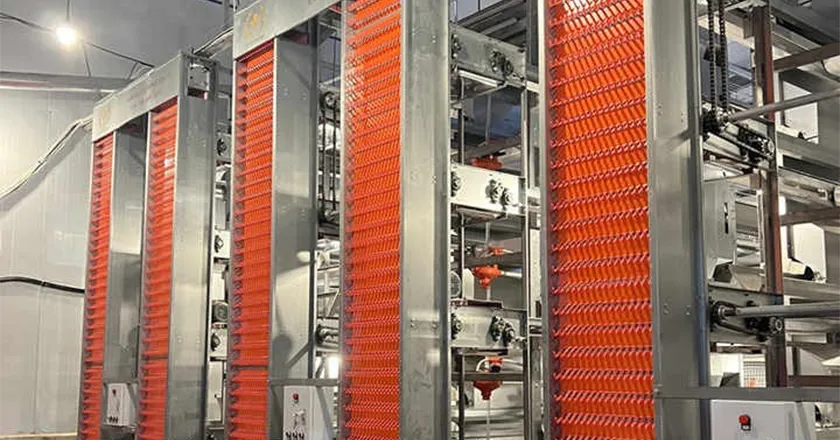 H-Type Automatic Layer Battery Cage