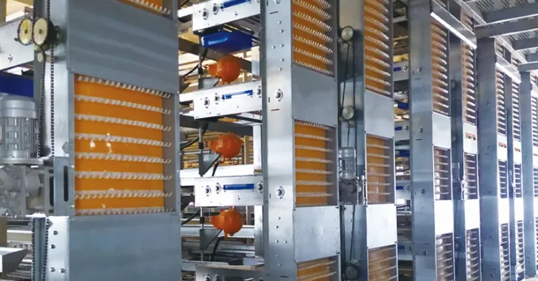 H-Type Automatic Layer Battery Cage