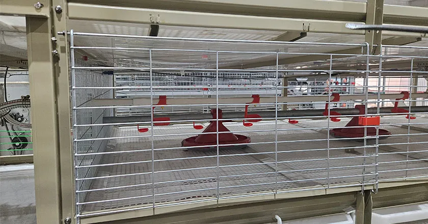 H-Type Semi-Automatic Broiler Cage with Pull-Out Harvesting System