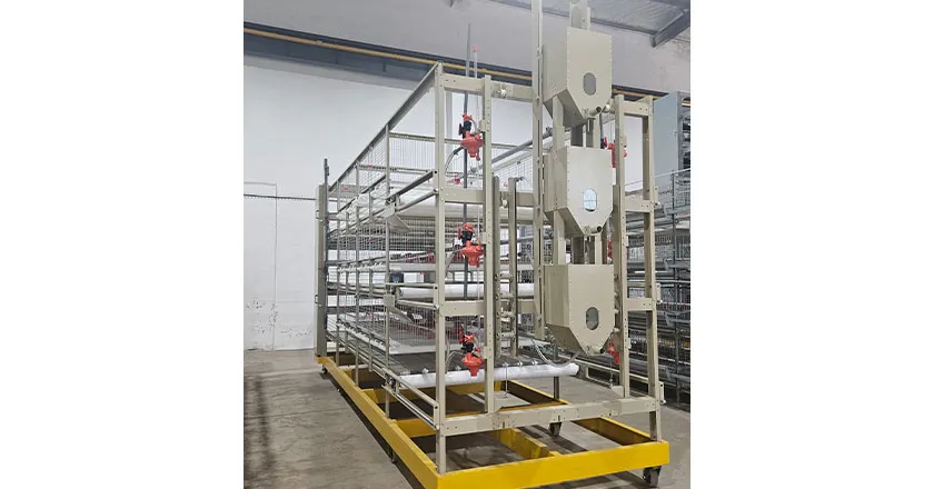 H-Type Semi-Automatic Broiler Cage with Pull-Out Harvesting System