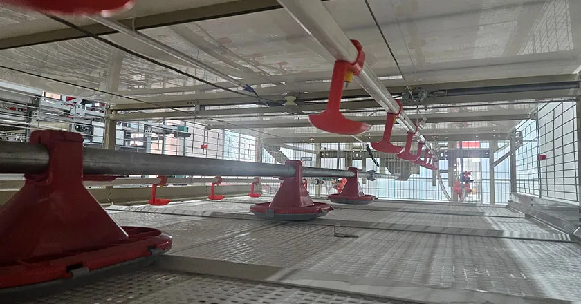 H-Type Semi-Automatic Broiler Cage with Pull-Out Harvesting System