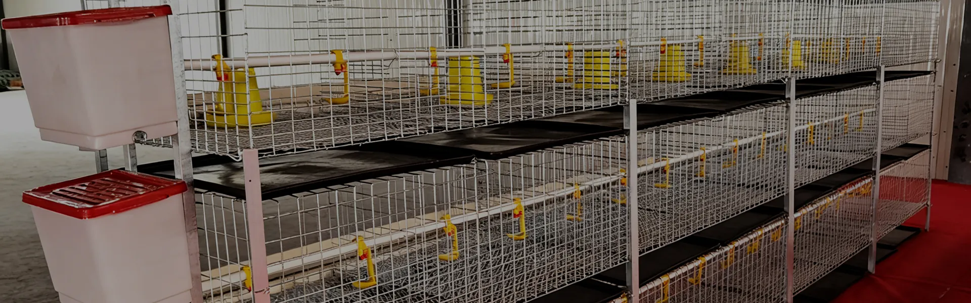 H-Type Simple Broiler Cage