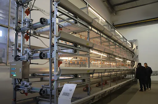 Integrated Broiler Equipment Package