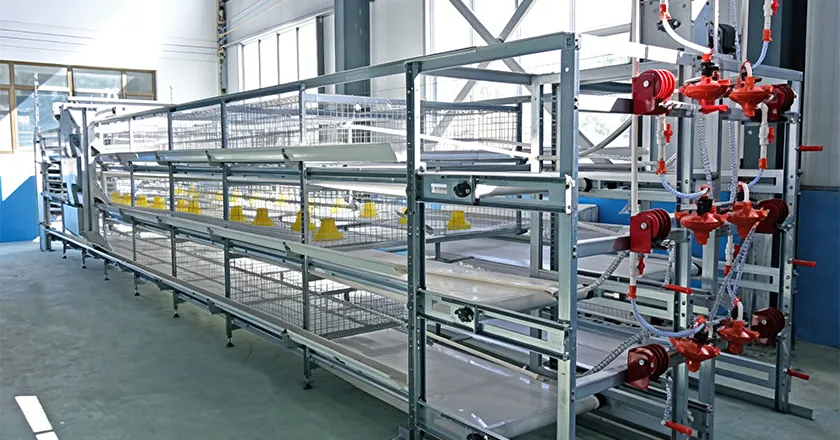 Laminated Breeding Equipment System for Broiler Duck