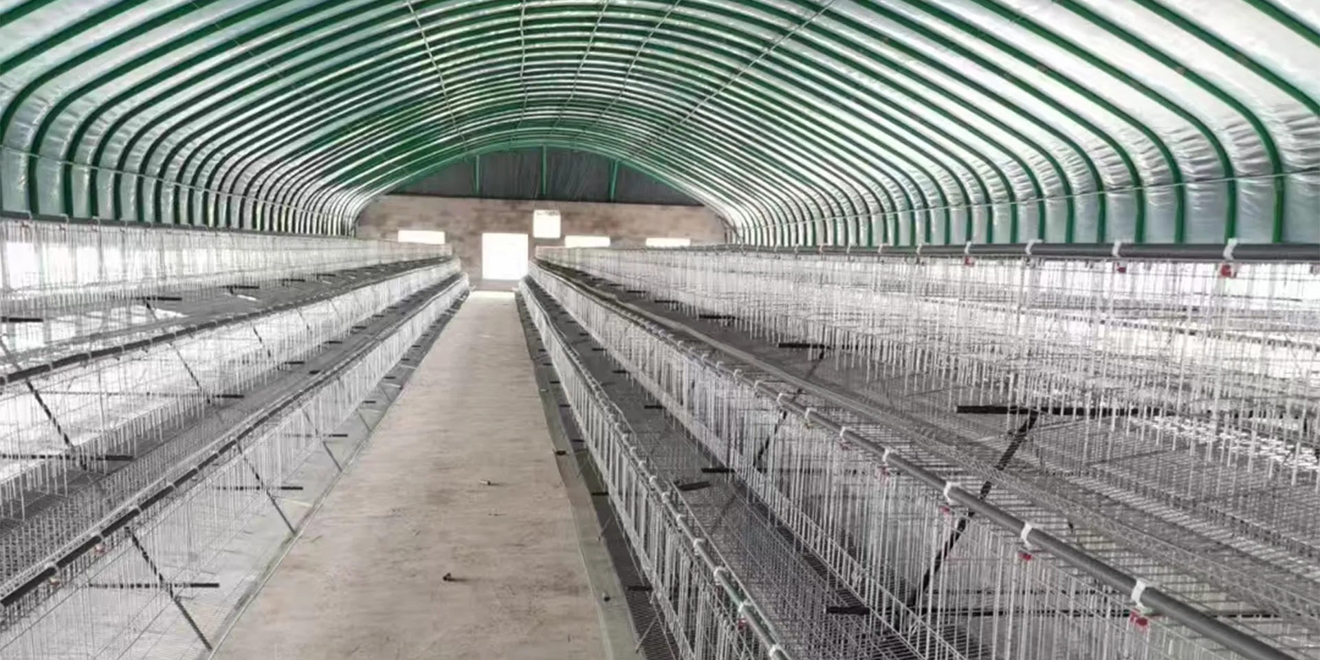 Simple Poultry Shed