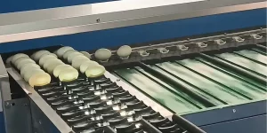 Egg Grading Machine
