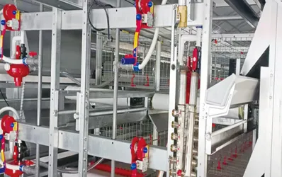 Horizontal & Vertical Connection Frame