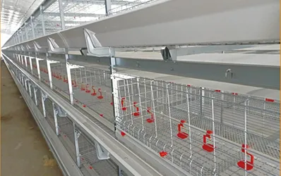 Large Internal Push Mesh Door