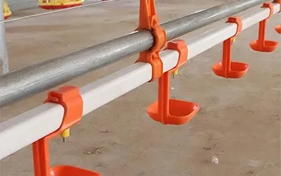 Drinking nipple line provides clean water supply to reduce contamination