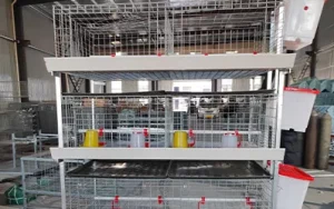 H-Type Simple Broiler Cage