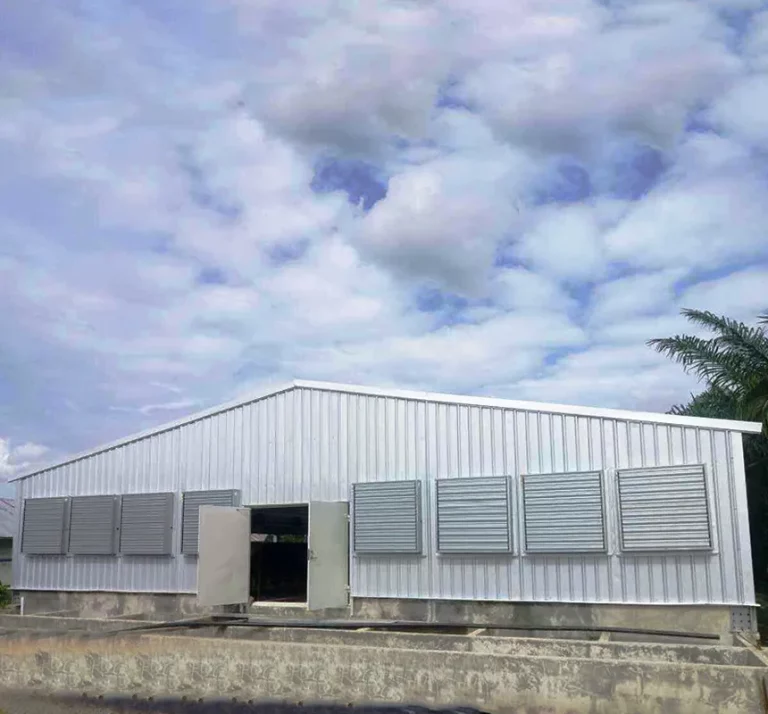 Poultry House & Steel Structure Building