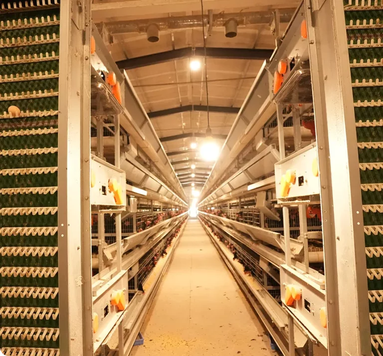 Egg Production Solutions