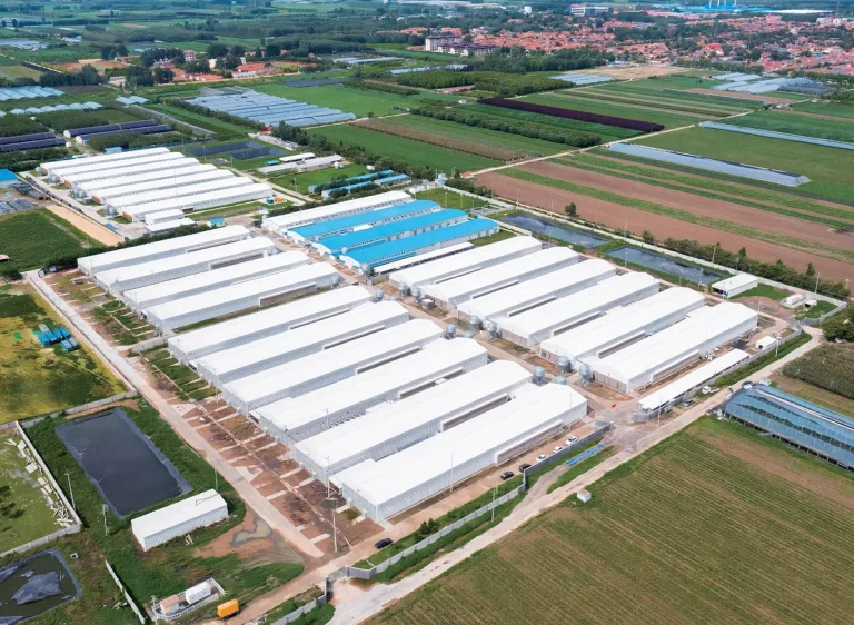 Poultry House Planning for Chicken Houses and Hen Houses: A Practical Coop Guide