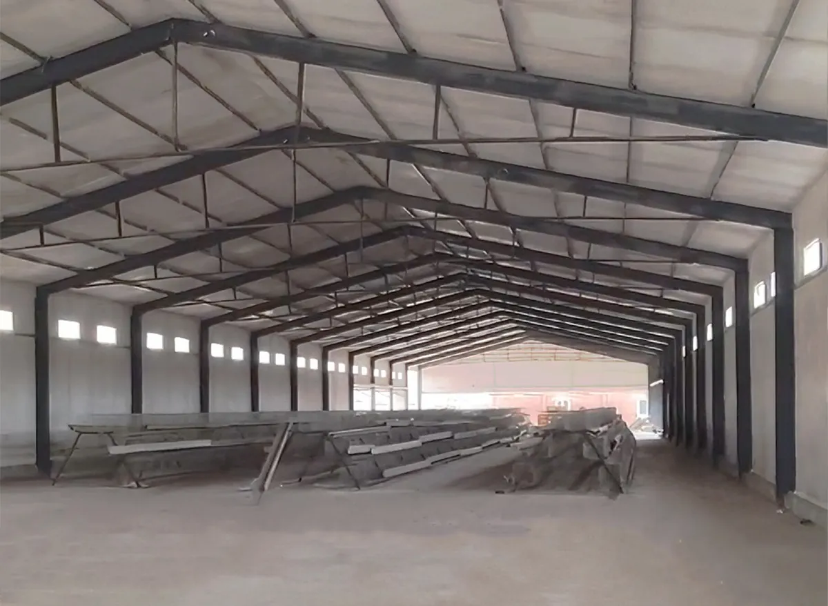 Simple Steel Structure Poultry House