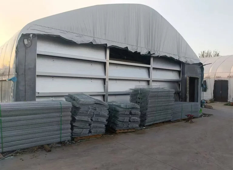Innovations in Poultry Shed Construction: How Modern Building Techniques Are Reshaping the Poultry Industry