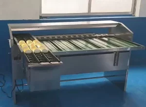 Egg Grading Machine