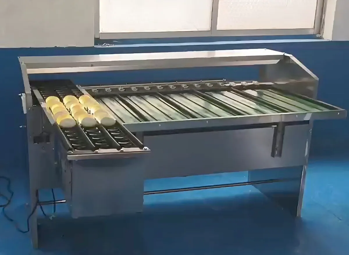 Egg Grading Machine