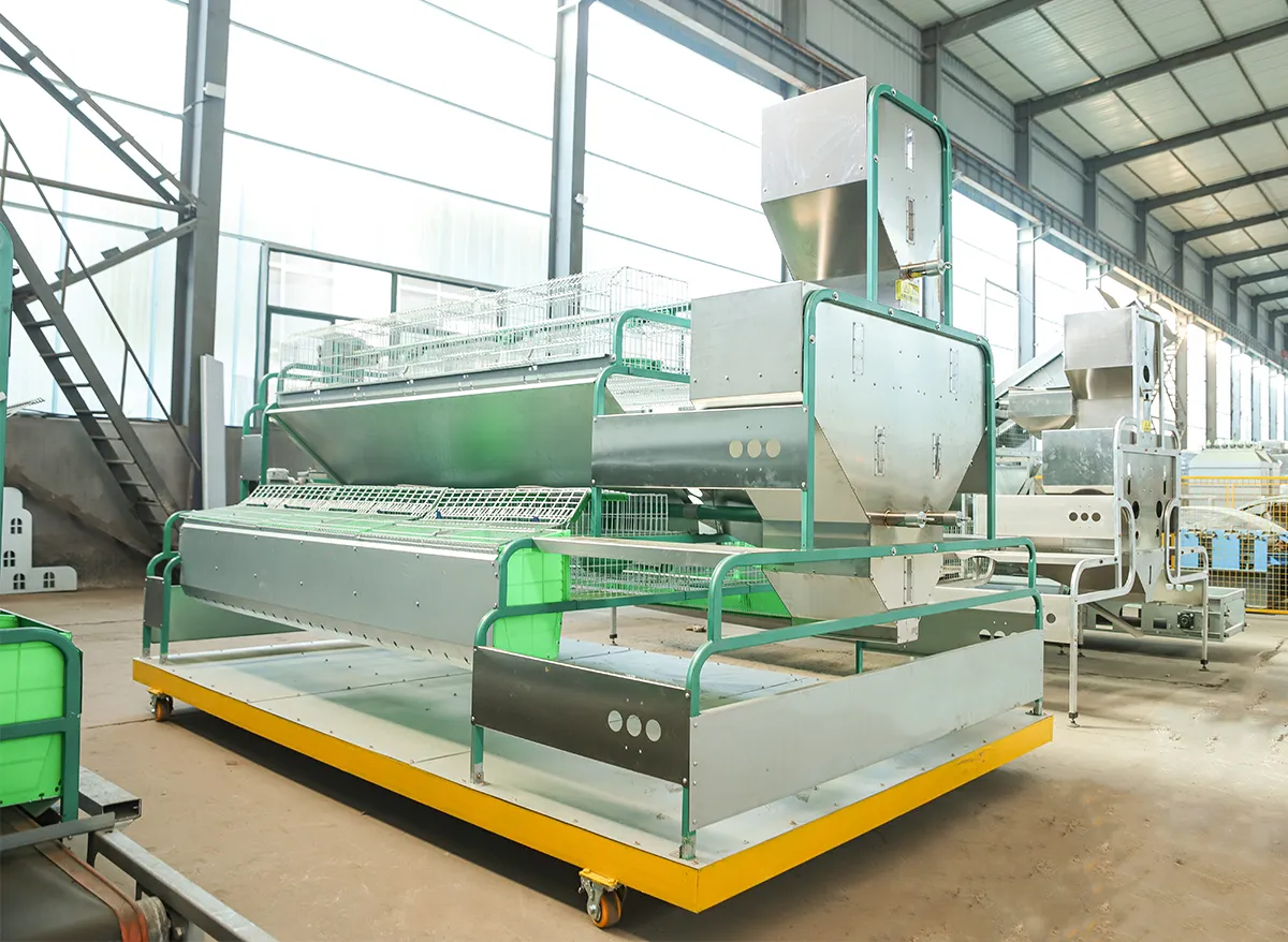 European Style Breeding Integrated 24-Cage Automatic Rabbit Feeding System