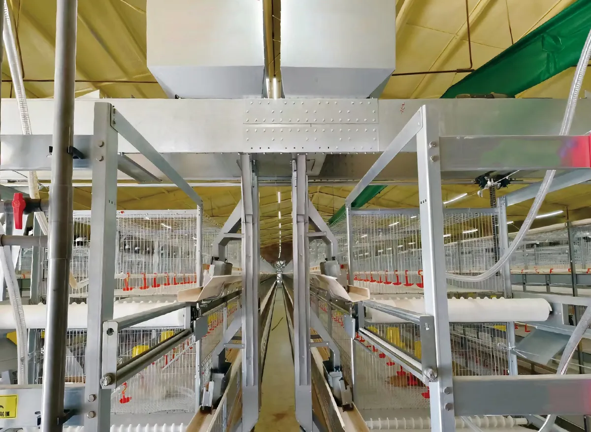 Chain-Type Automatic Feeding System