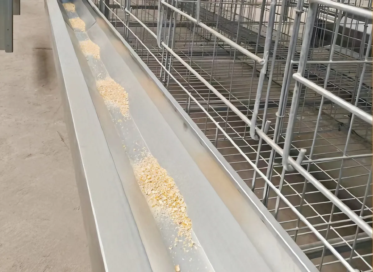 Gantry Travelling Automatic Feeding System