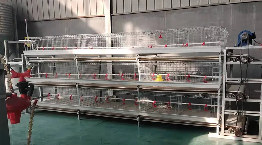 H-Type Simple Broiler Cage