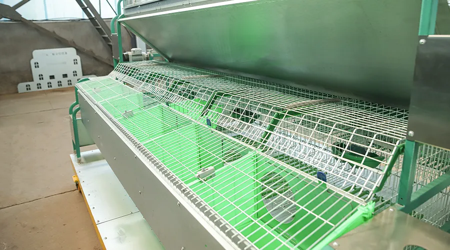 European Style Breeding Integrated 24-Cage Automatic Rabbit Feeding System