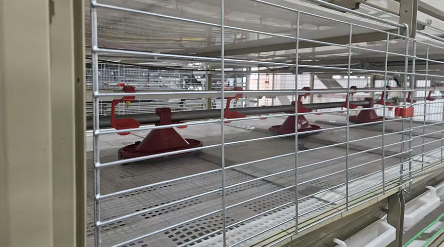 H-Type Semi-Automatic Broiler Cage with Pull-Out Harvesting System