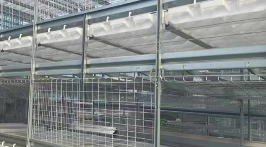 H-Type Semi-Automatic Broiler Cage with Pull-Out Harvesting System