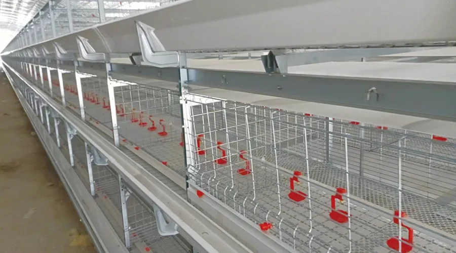 Double Broiler Battery Cage (3/4 Tiers)