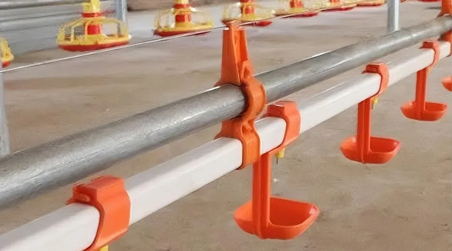 Broiler Floor Farming Equipment