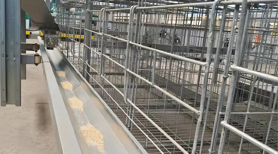 Chain-Type Automatic Feeding System