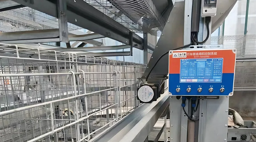 Gantry Travelling Automatic Feeding System