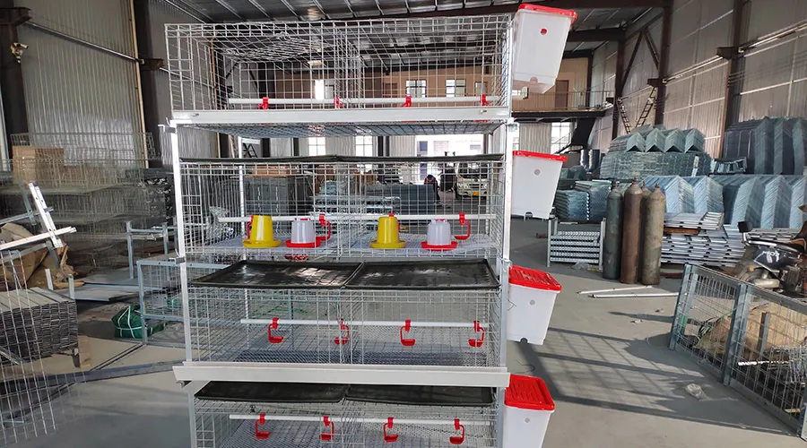 H-Type Simple Broiler Cage